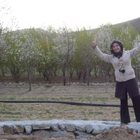 Sara Vatanpour's Photo