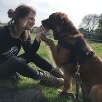 Fotos von Caja Kiryu