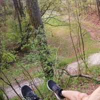 Ahmad Nedal的照片