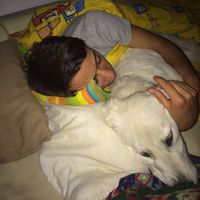 Andrea Pisani的照片