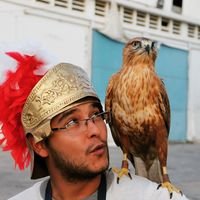 Özerk Toprak Korkmaz的照片