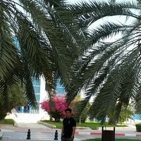 Fotos von issa fallah