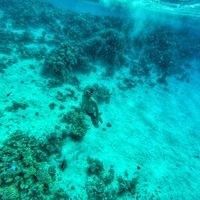 Anton George's Photo