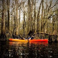 Фотографии пользователя Asham Amir