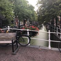 Fotos de Frida frida