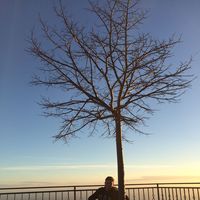 Rafael Bassan's Photo