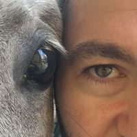 Serkan Ozkan的照片