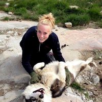 Amanda Loiborg的照片