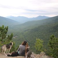 Shannon Gray's Photo