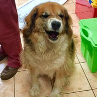 Mario Jordán's Photo