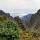 Travel evenings: The hidden gem - Madeira's picture