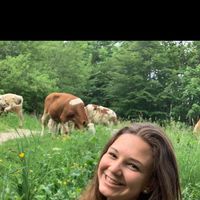 Lisa Hörtenhuemer's Photo