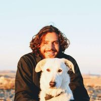 Aviv Resnick的照片