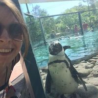 Fotos de Lizzie Durkin