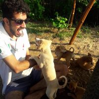 Sumit Gulati's Photo