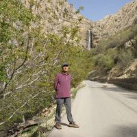 mohamadreza Taherzadeh的照片