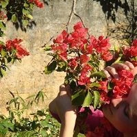 Camila Silvello's Photo