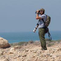 yousef valedi's Photo