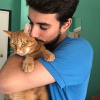 Fotos von Alex Giorgi