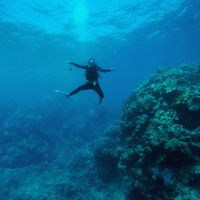 Anna Kornilova's Photo