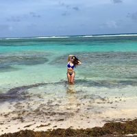 Sandy Cabages的照片