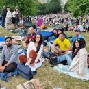Picnic And Kubb's picture