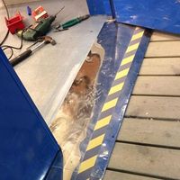 John Johnson's Photo