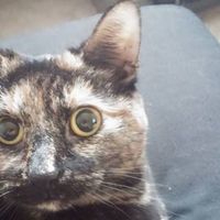 Photos de Chris Parker