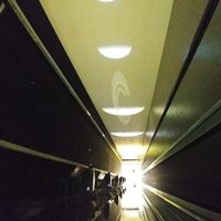 nina armani的照片