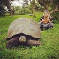 Le foto di Kate Sullivan