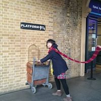 Fotos von 彩果 岡本