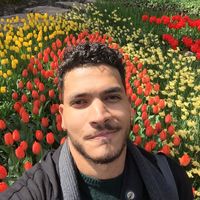 Akrum El Sayed的照片