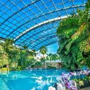 Therme Bucharest's picture