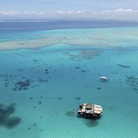 abdullah abdullah's Photo