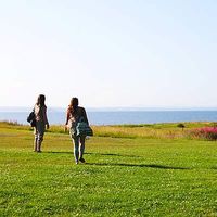 Фотографии пользователя Ildiko Marko