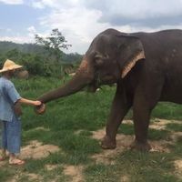 Bram Jurrema的照片