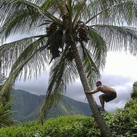 Jared Sutton's Photo