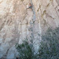 Fotos de Leandro Maldonado