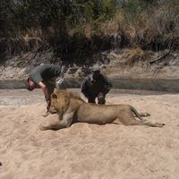 angela Jovin的照片