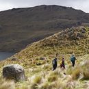Cajas National Park (12km hike)'s picture