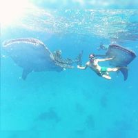 Fotos de Luke Robertson