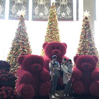 Megumi Nishi's Photo