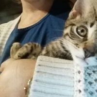 Photos de Taylor Boyle