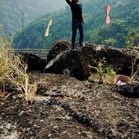 Pranshu Bhadauria's Photo