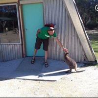 Mark Sytsma的照片