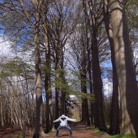 Nigel Willaert的照片