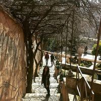 Carolinaa Casaas的照片