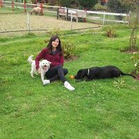 Paola  Genoy's Photo