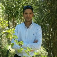 Masoud Alimoradi's Photo