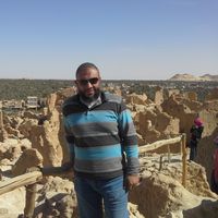 Photos de Tamer Zyada